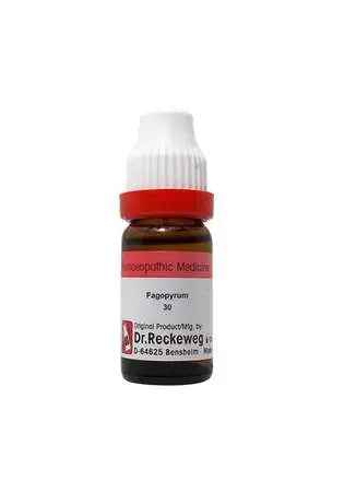 Dr. Reckeweg Fagopyrum Esculentum Reckeweg India