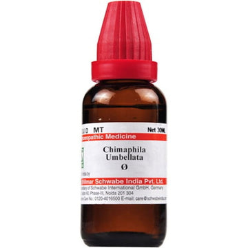 Willmar Schwabe Chimaphila umbellata MT Dr Willmar Schwabe Homeo