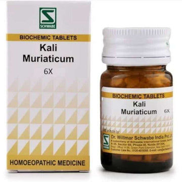 Willmar Schwabe Kalium Muriaticum Dr Willmar Schwabe Homeo
