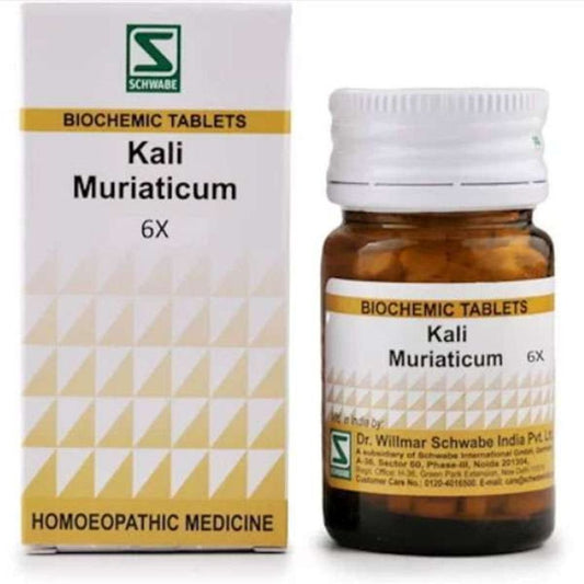 Willmar Schwabe Kalium Muriaticum Dr Willmar Schwabe Homeo