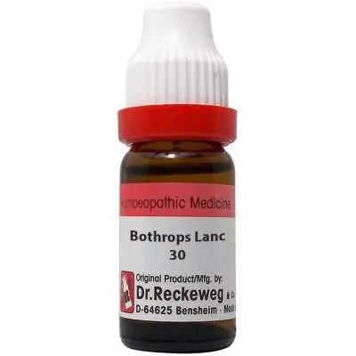Dr. Reckeweg Bothrops Lanceolatus