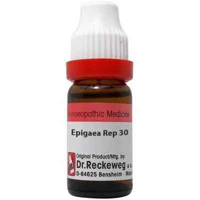 Dr. Reckeweg Epigaea Repens