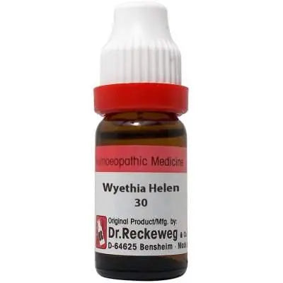 Dr. Reckeweg Wyethia Helenoides Reckeweg India