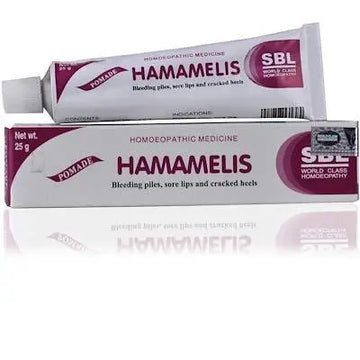 SBL Hamamelis Ointment SBL