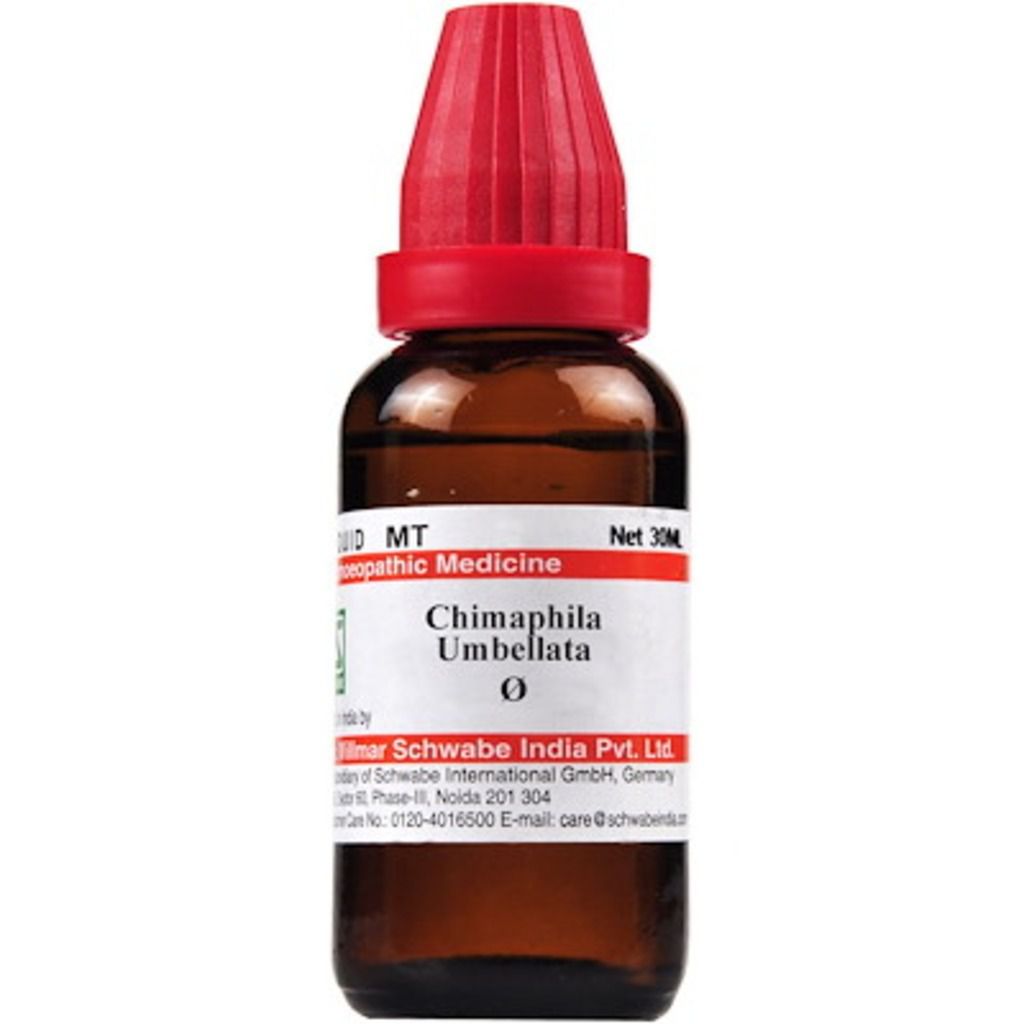 Willmar Schwabe Chimaphila umbellata MT Dr Willmar Schwabe Homeo