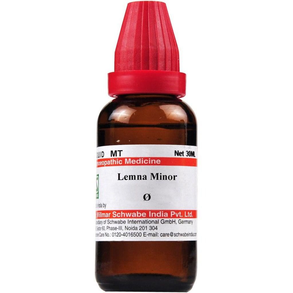 Willmar Schwabe Lemna minor MT Dr Willmar Schwabe Homeo