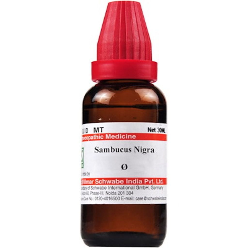 Willmar Schwabe Sambucus nigra MT Dr Willmar Schwabe Homeo