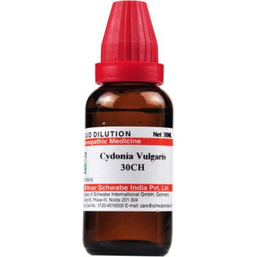 Willmar Schwabe Cydonia Vulgaris - 30 ml Dr Willmar Schwabe Homeo