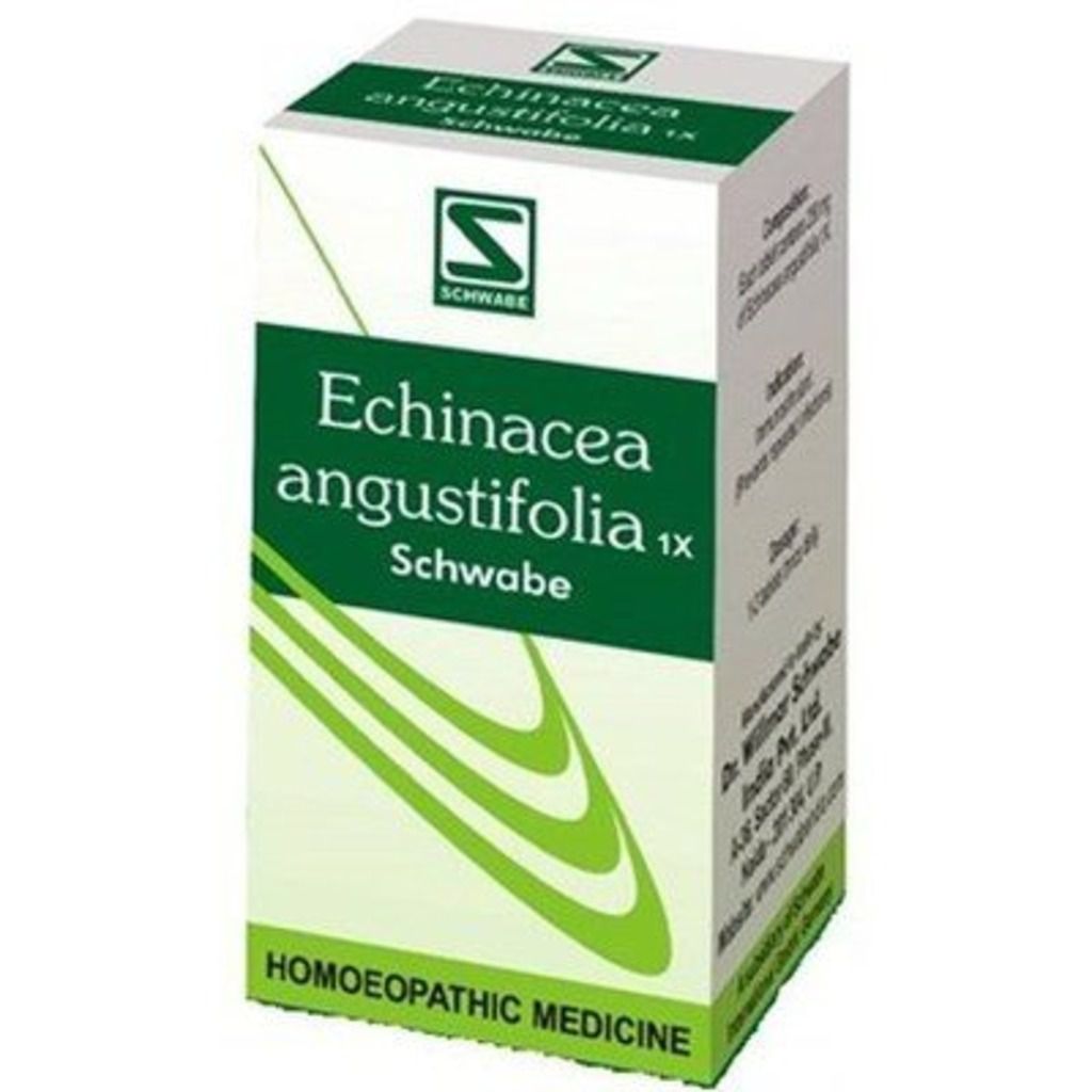 Willmar Schwabe Echinacea Angustifolia 1X Tablets Dr Willmar Schwabe Homeo