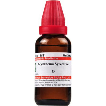 Willmar Schwabe Gymnema Sylvestre 1X ( Q ) Dr Willmar Schwabe Homeo