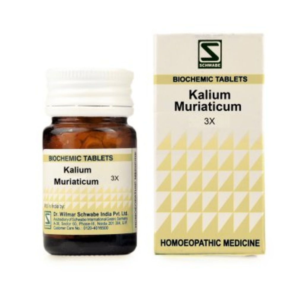 Willmar Schwabe Kali Muriaticum - 20 gm Dr Willmar Schwabe Homeo