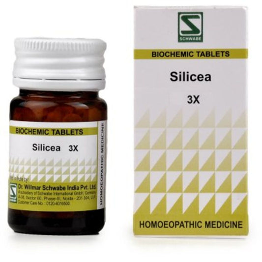 Willmar Schwabe Silicea - 20 gm