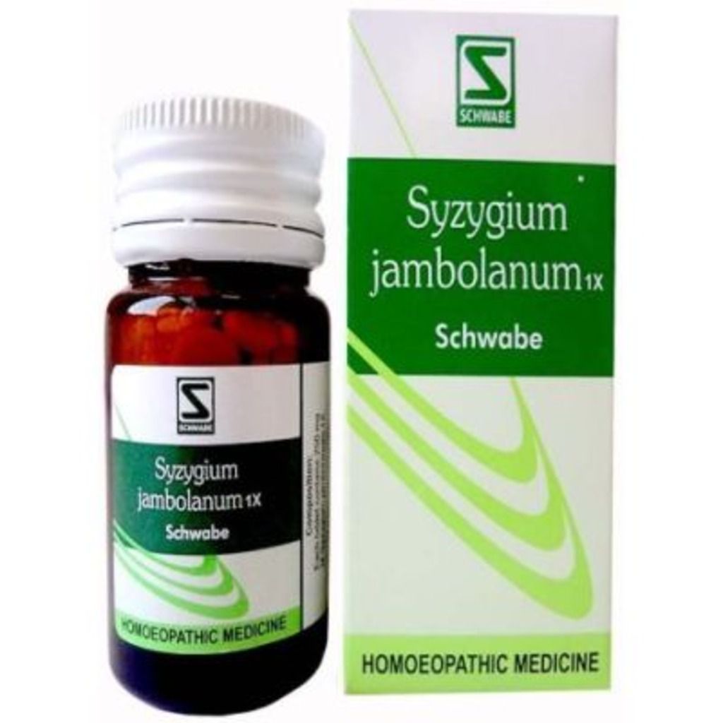 Willmar Schwabe Syzgium Jambolanum 1X Tablets Dr Willmar Schwabe Homeo